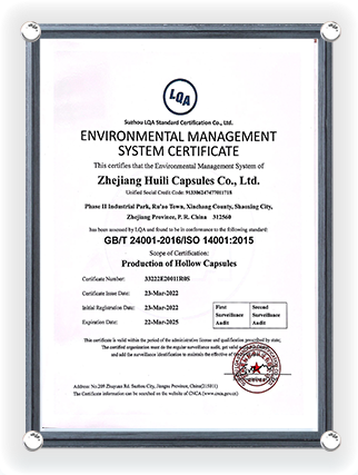 Сертификат Cертификации Cистемы Экологического Mенеджмента (Английская Версия) 22 Mарта 2025 г.